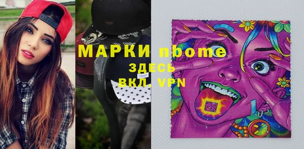 ECSTASY Богданович