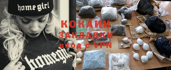 ECSTASY Богданович