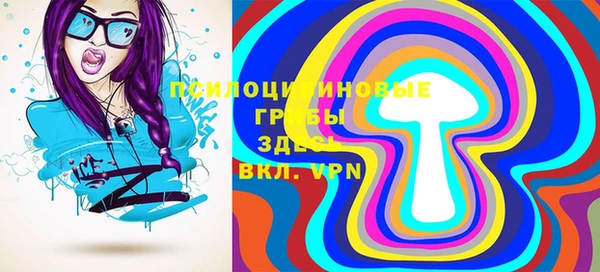 дживик Белокуриха