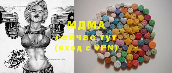 ECSTASY Богданович