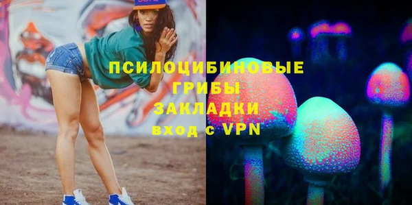 бутират Богородицк
