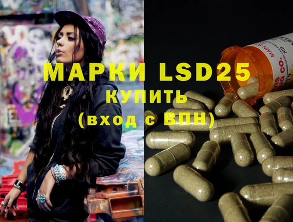 ECSTASY Богданович