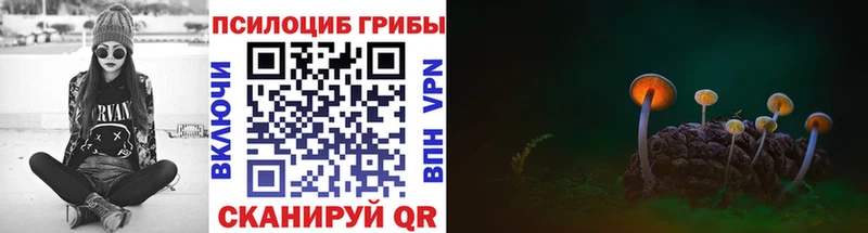 shop формула  Пестово  Галлюциногенные грибы GOLDEN TEACHER 